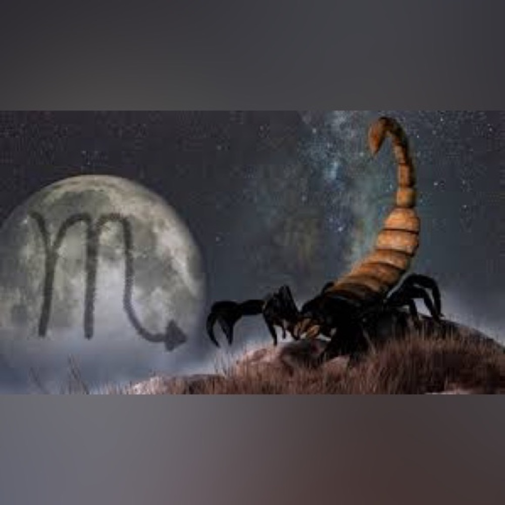 2/$6 🧪 SCORPIO Astrology Horoscope Necklace w/ Info Card - Picture 4 of 16